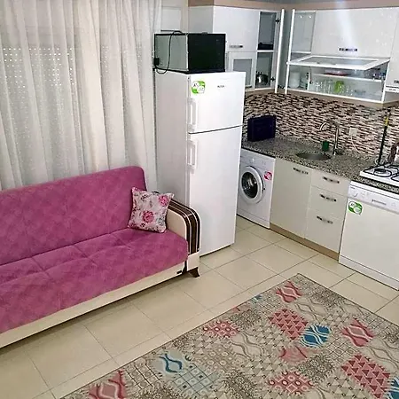 Ξενοδοχείο 1+1 Mobilyali Ev 3*